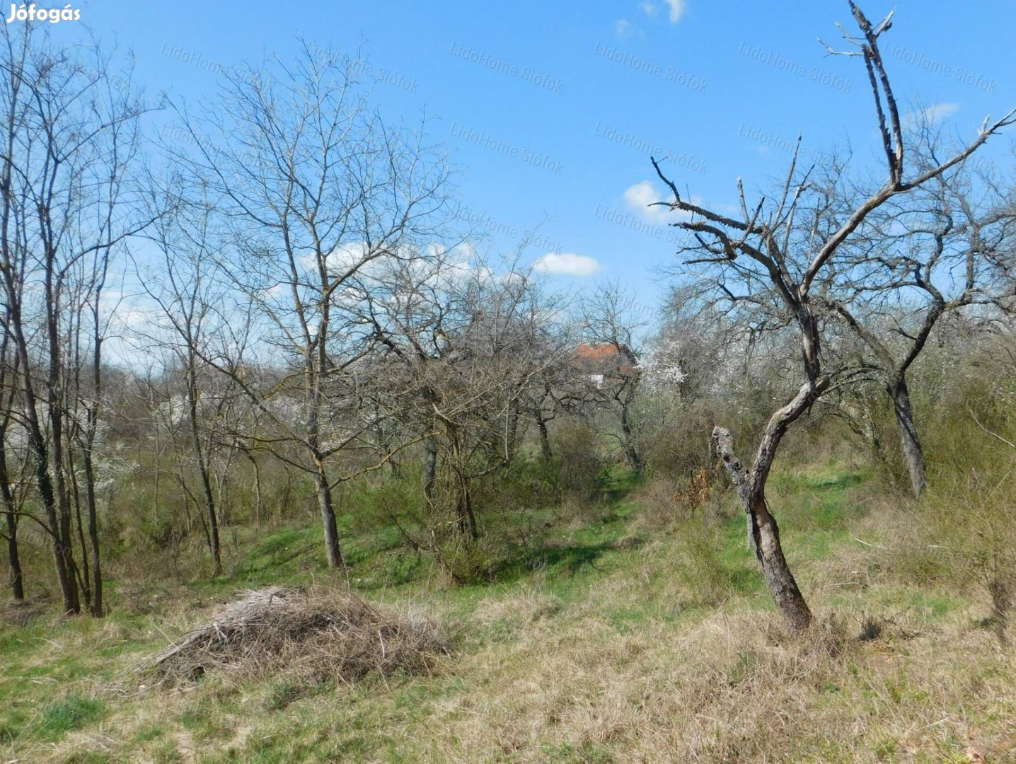 Kőhegy legnagyobb, még beépítetlen területe eladó