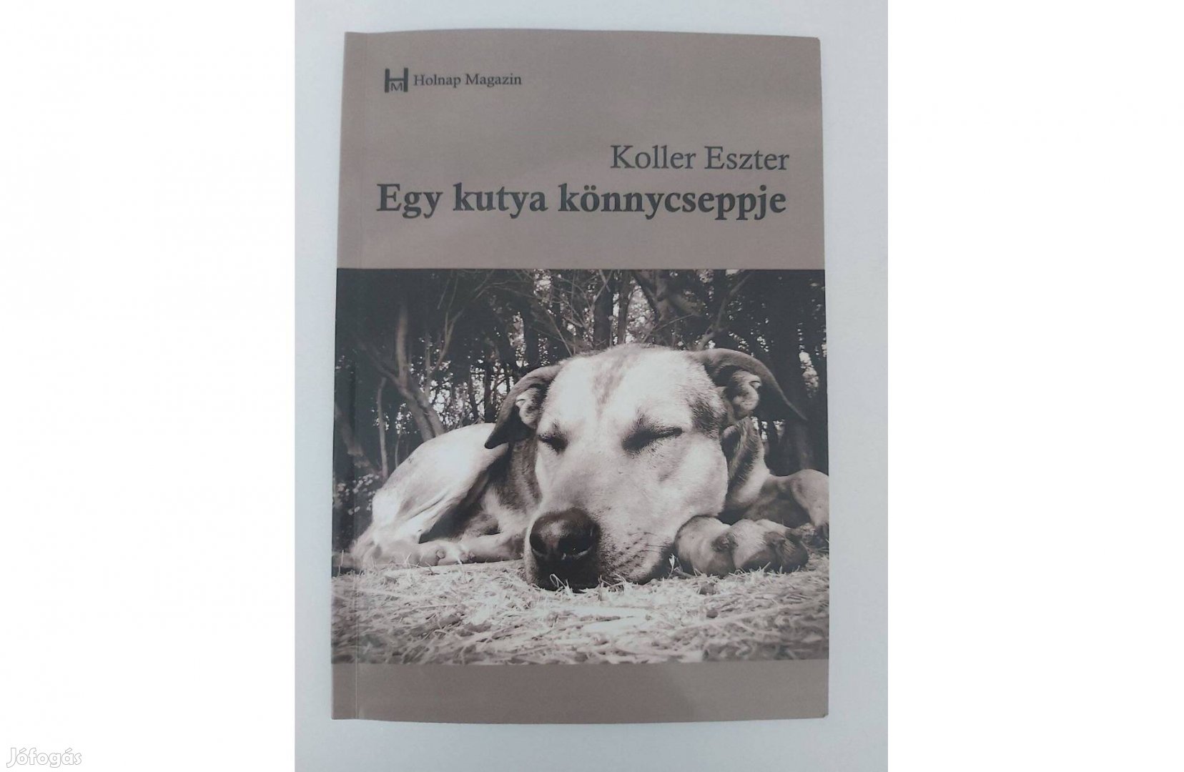Koller Eszter Egy kutya könnycseppjei