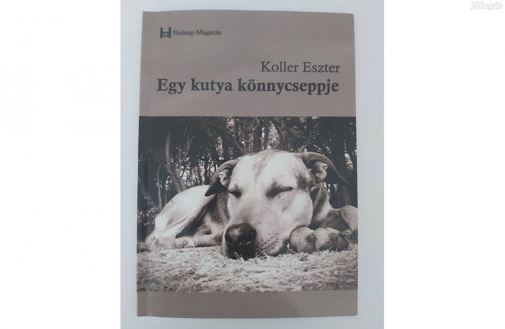 Koller Eszter: Egy kutya könnycseppjei (dedikált pld.)