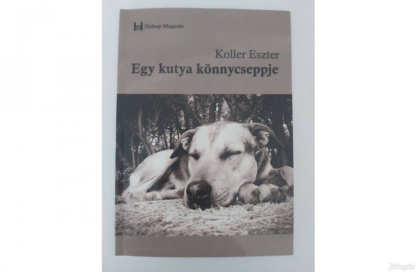 Koller Eszter: Egy kutya könnycseppjei (dedikált pld.)