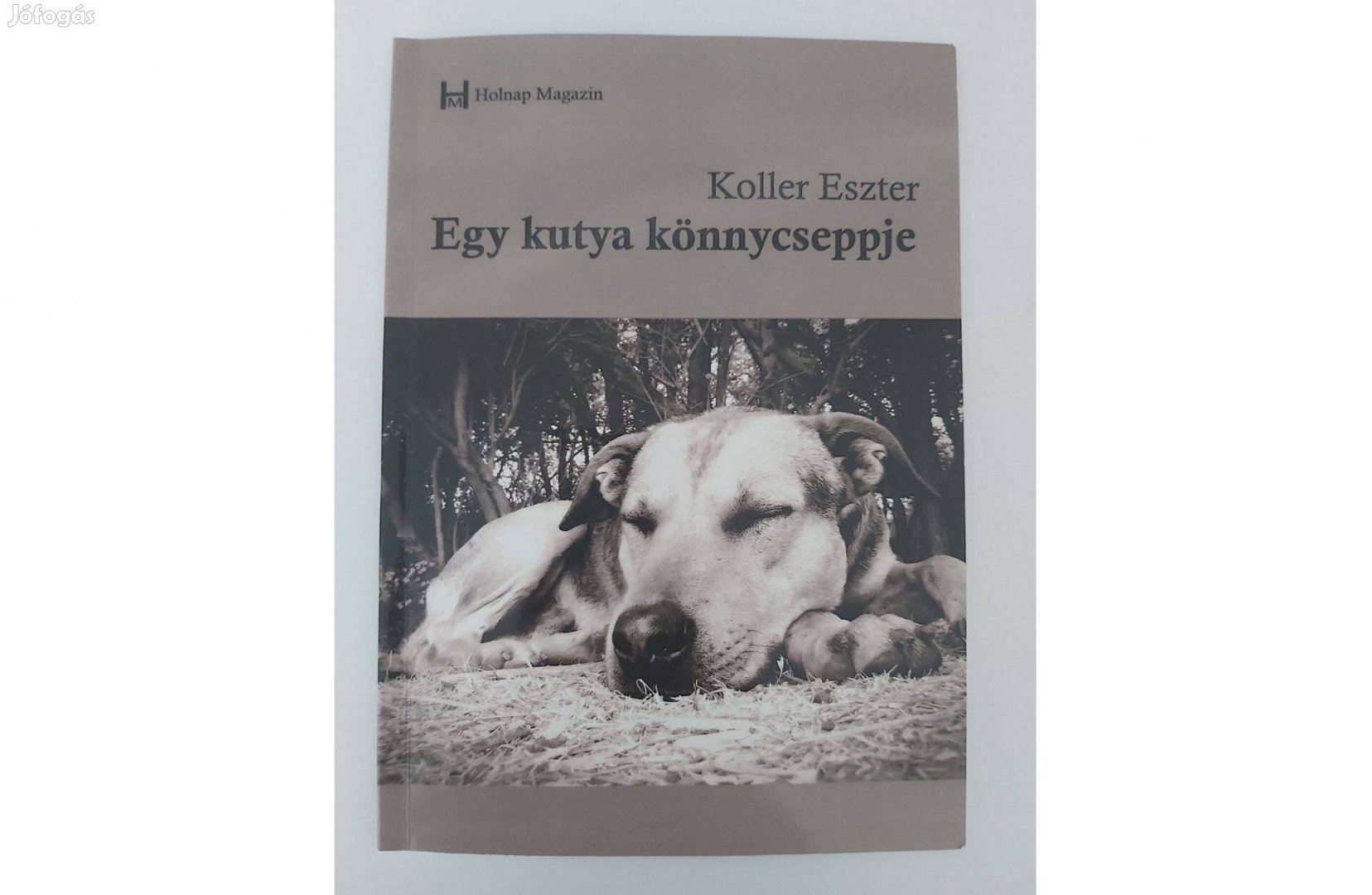 Koller Eszter: Egy kutya könnycseppjei (dedikált pld.)