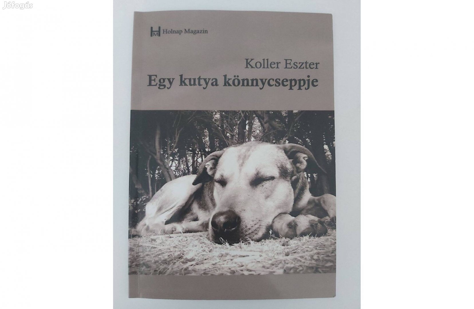 Koller Eszter: Egy kutya könnycseppjei (dedikált pld.)