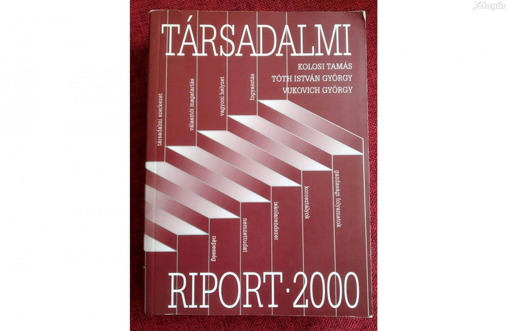 Kolosi Tamás - Tóth István György Vukovich Társadalmi riport 2000
