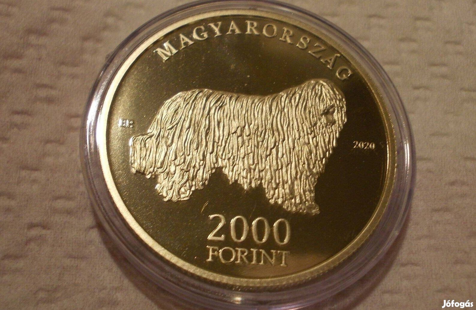 Komondor kutya, forint emlékérme, magyar kutyafajták