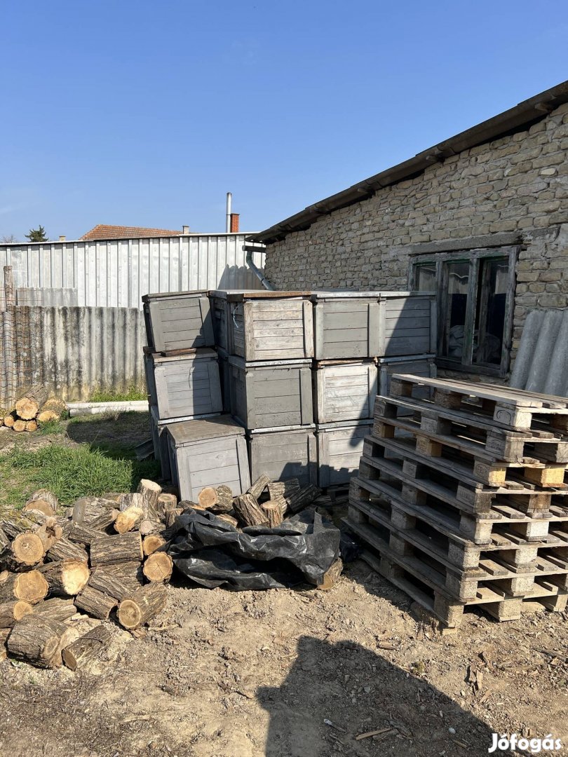 Komplett NB méhfelszerelés