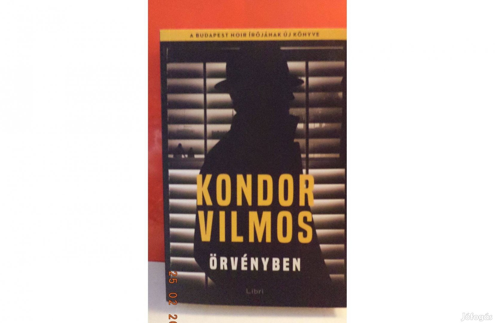 Kondor Vilmos: Örvényben