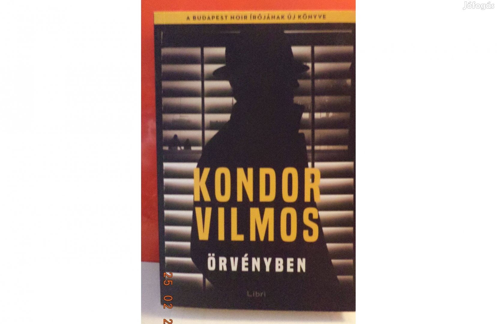 Kondor Vilmos: Örvényben