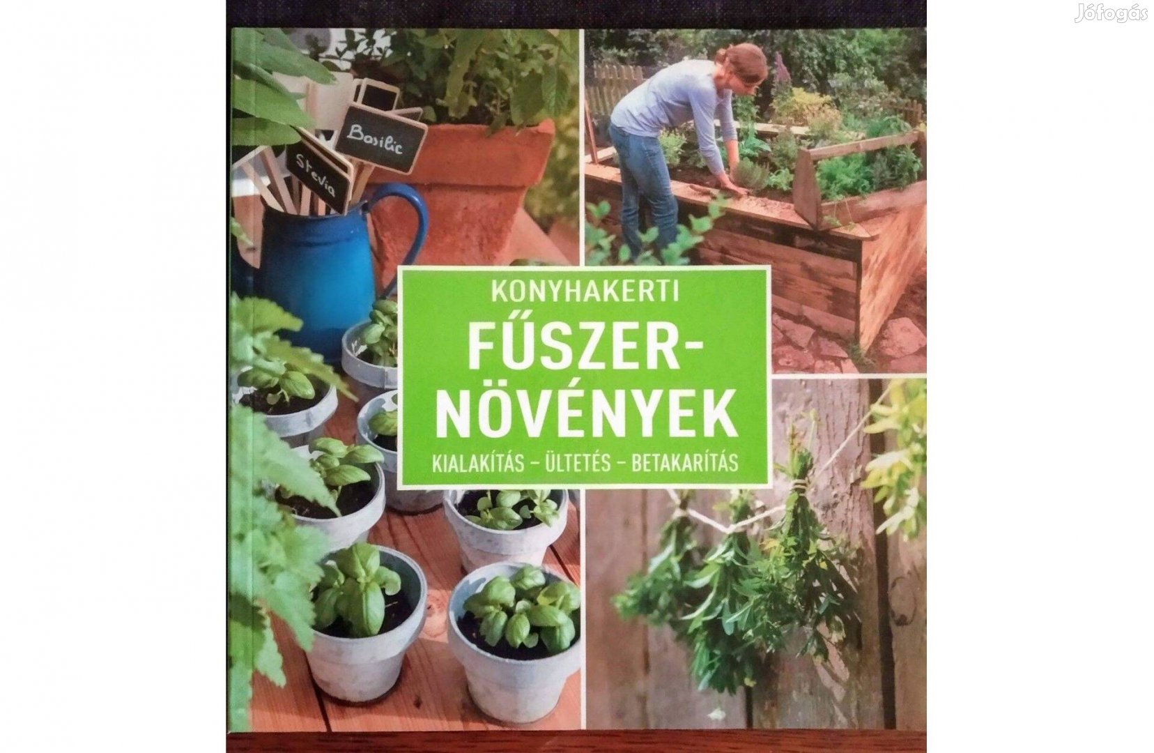 Konyhakerti Fűszernövények