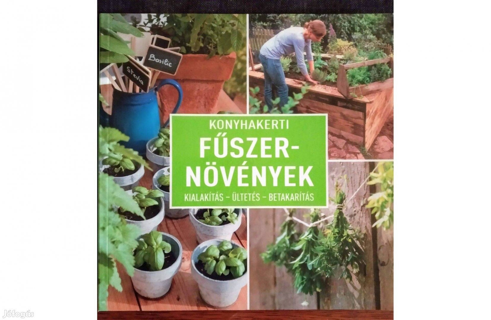 Konyhakerti fűszernövények - Kialakítás - ültetés - betakarítás Dirk M