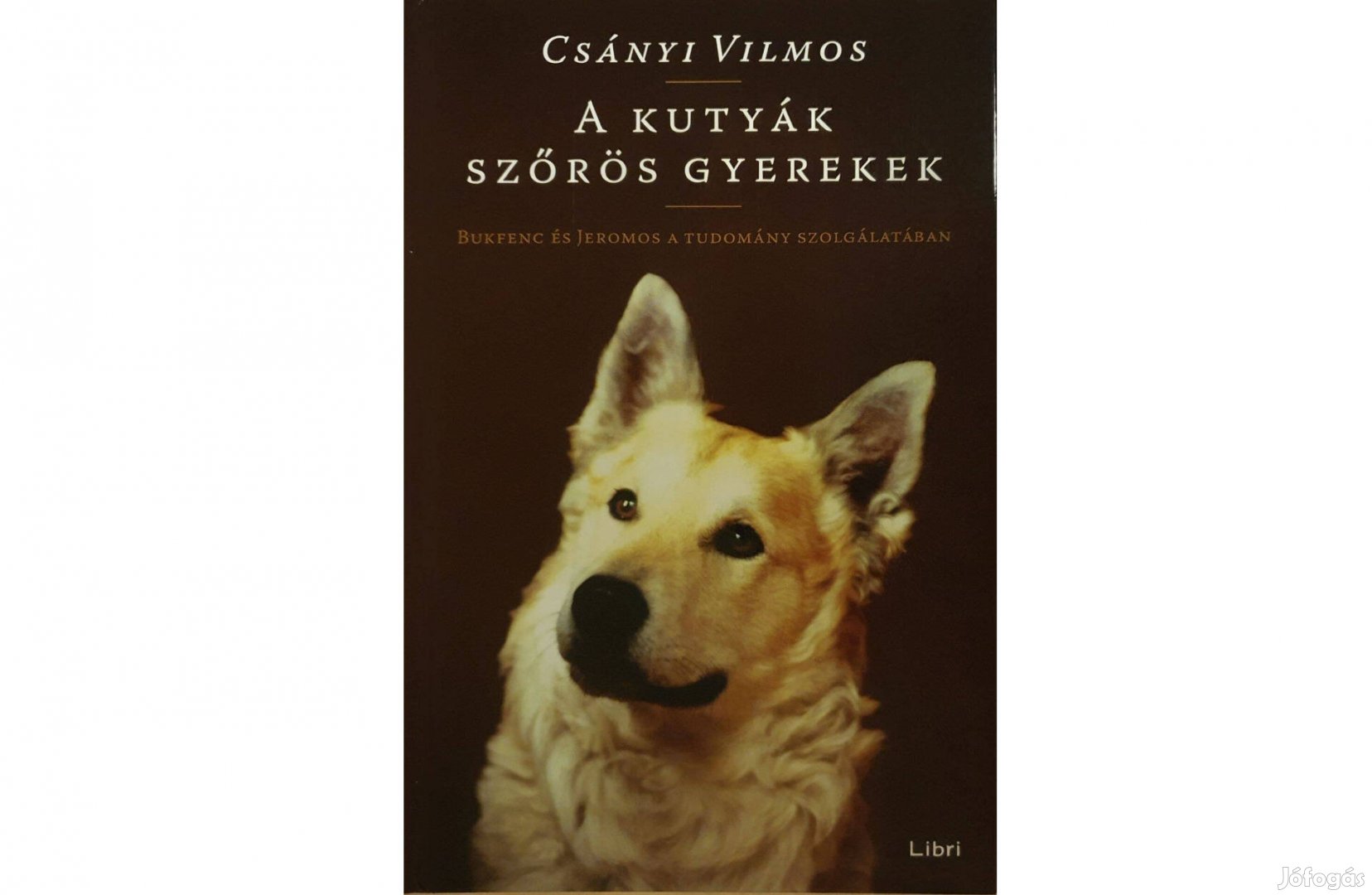Könyv, Csányi Vilmos: A kutyák szőrös gyerekek
