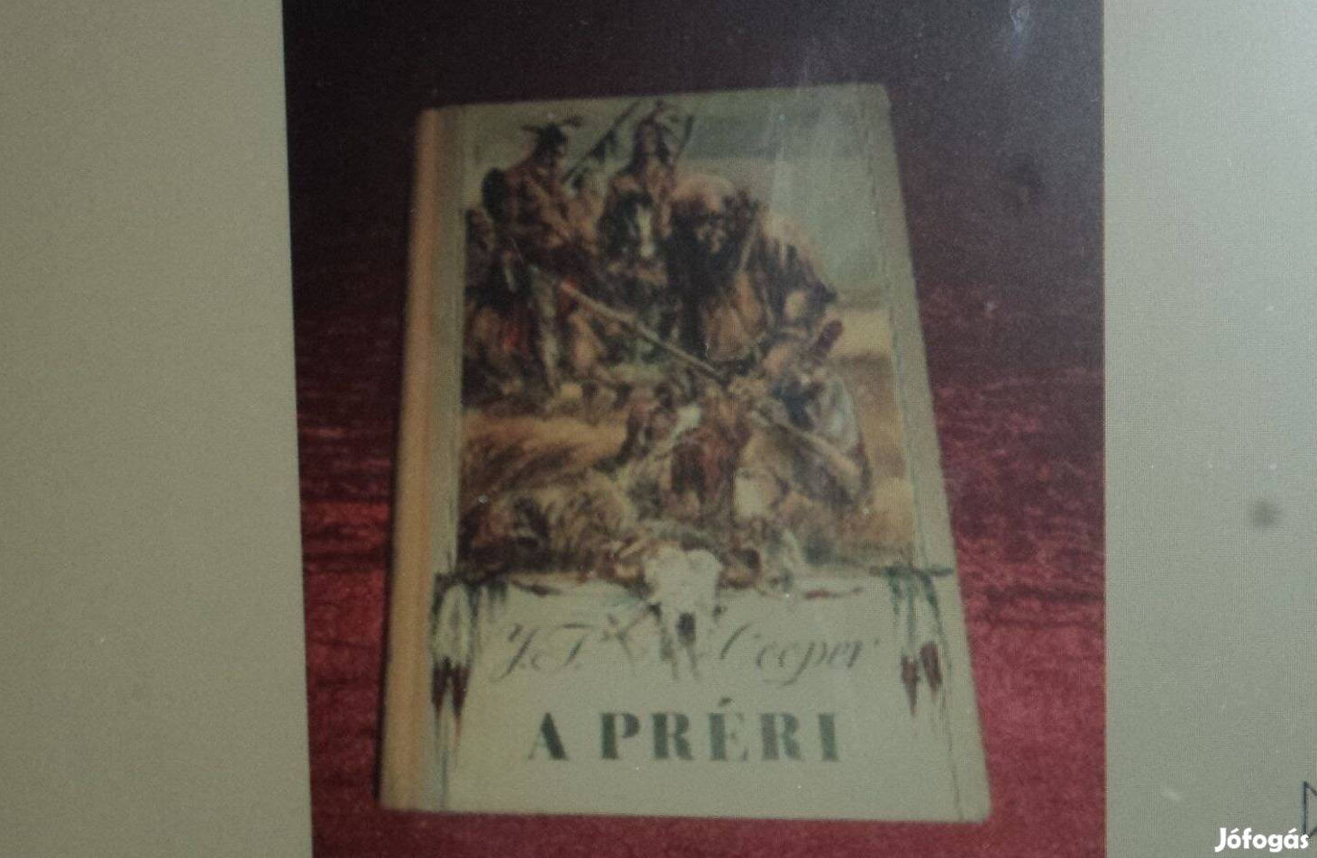 Könyv! Gyönyörű indián történet