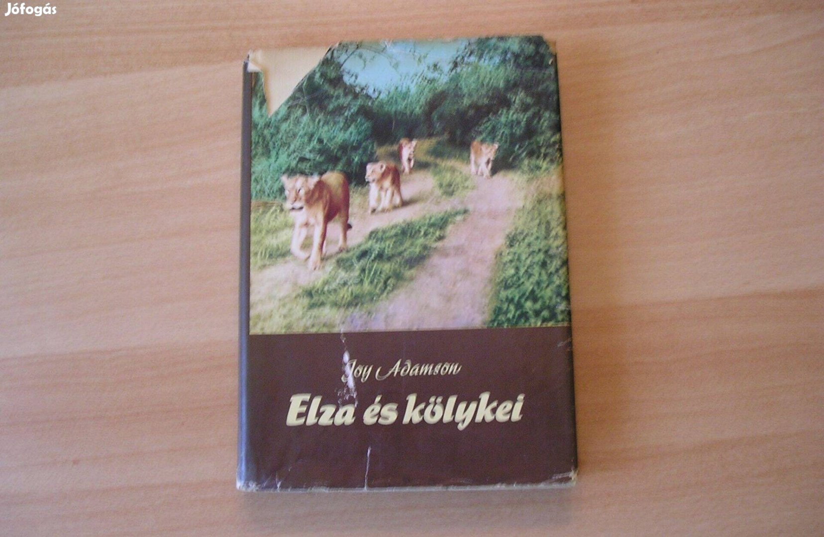 Könyv Joy Adamson Elza és kölykei