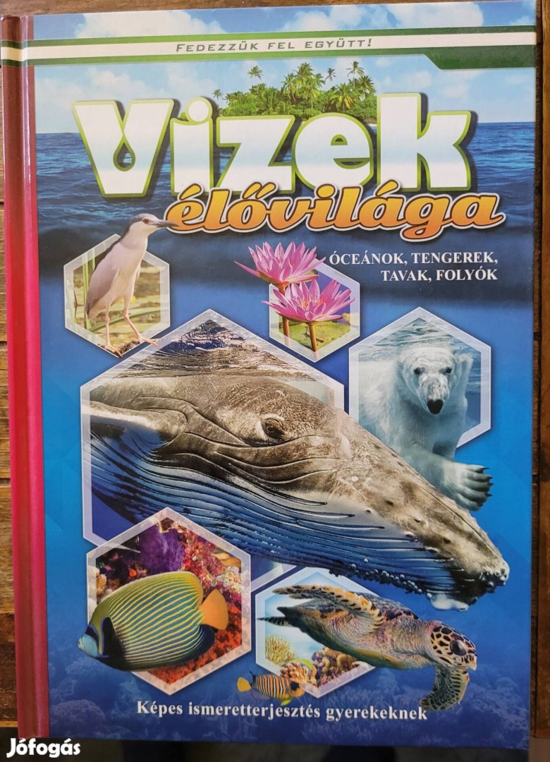 Könyv: Vizek élővilága