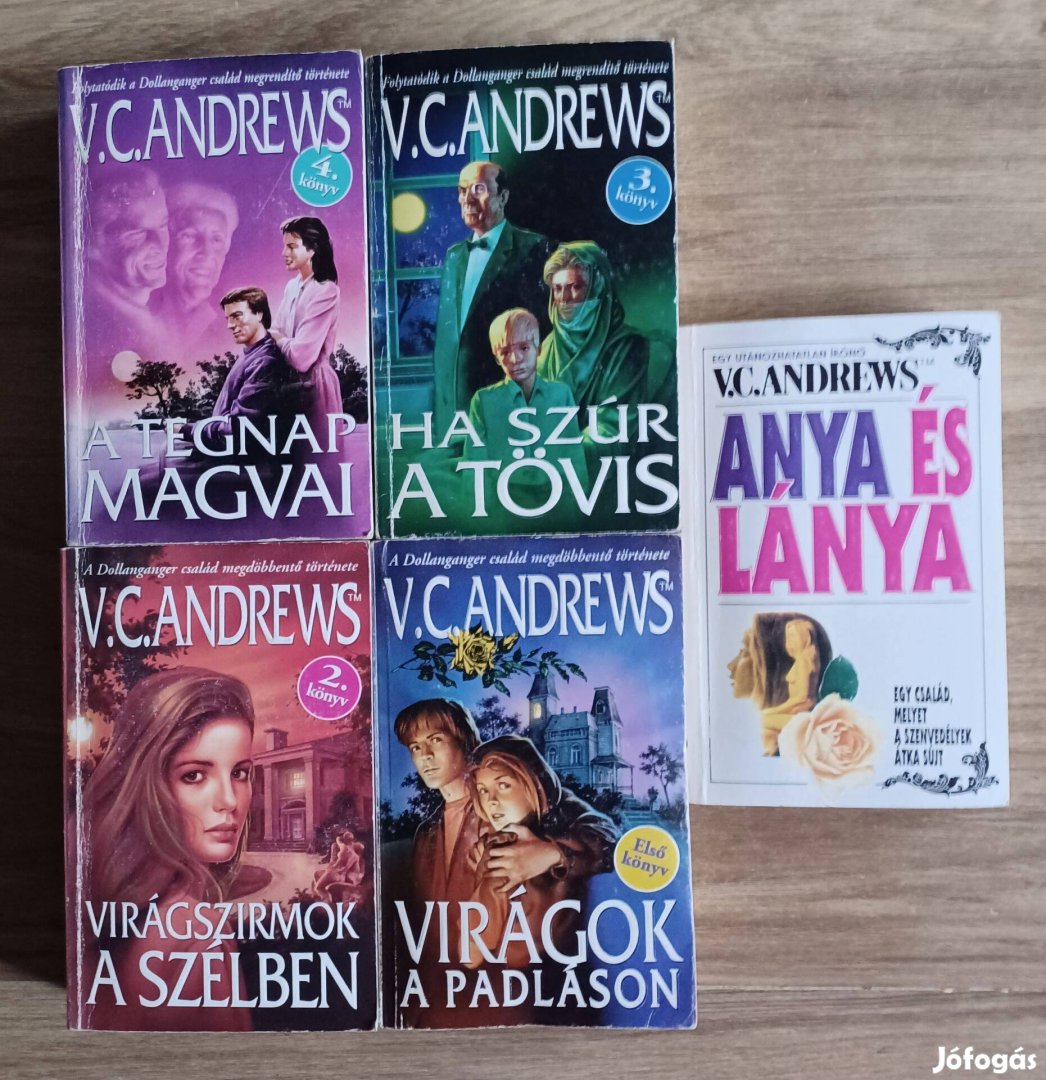 Könyv - V. C. Andrews: Dollanger család