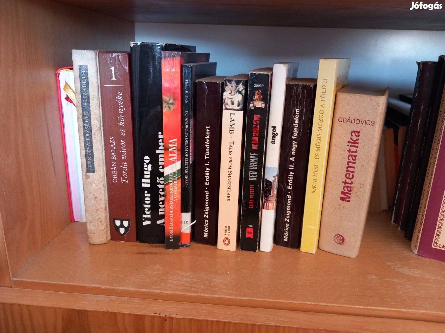 Könyvcsomag, regények, szótárak