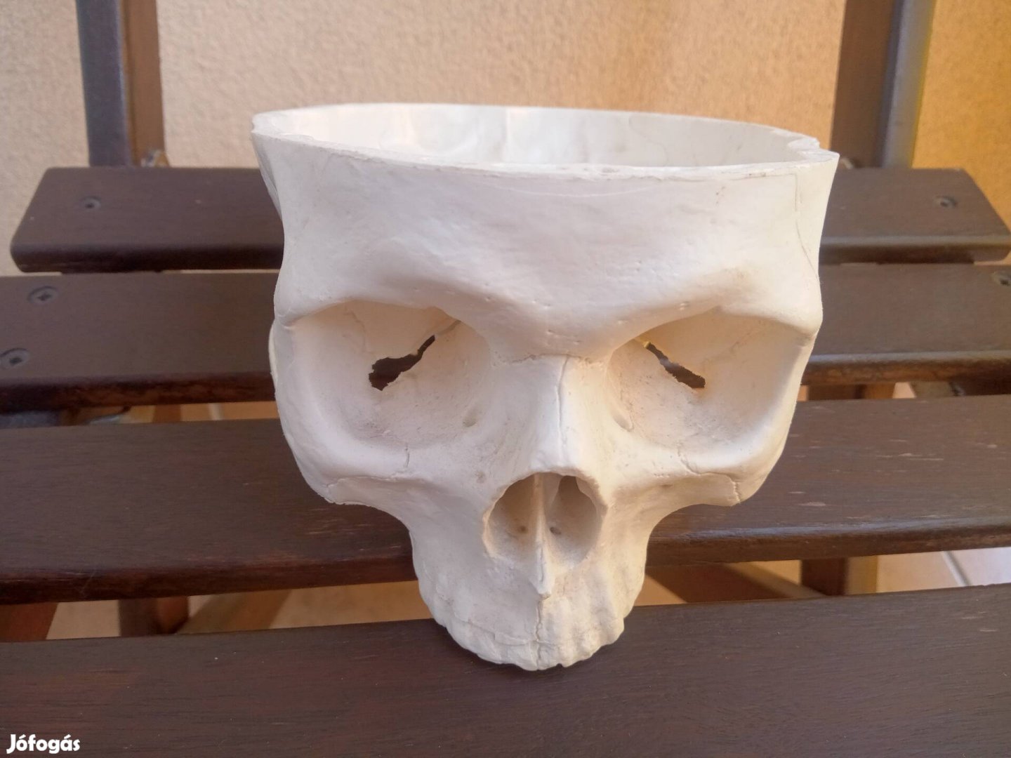 Koponya fej -Tatto Studio