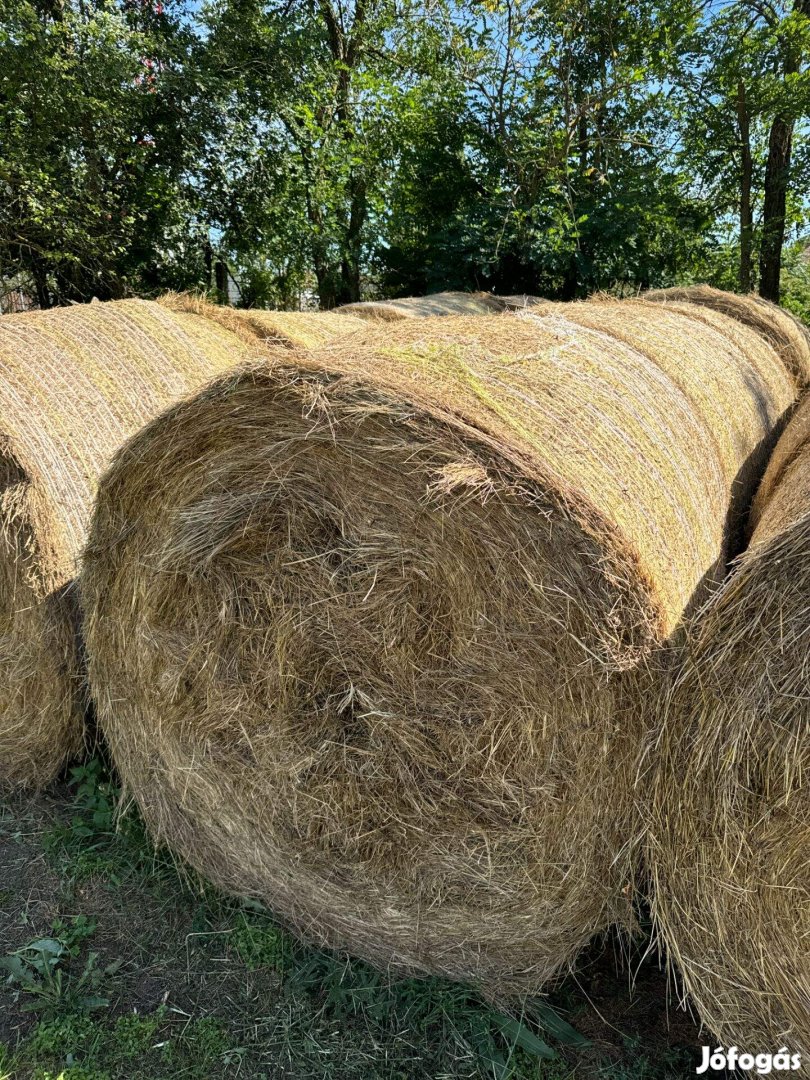 Körbála Széna, természetvédelmi területről