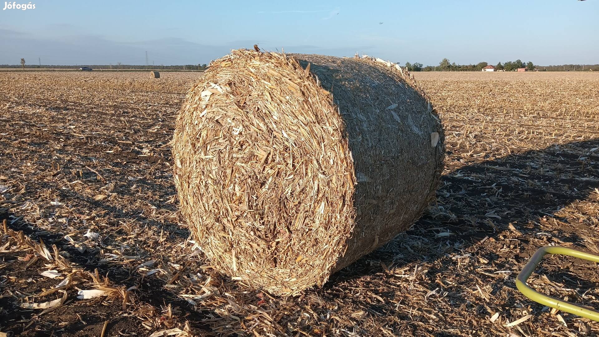 Körbálás kukorica szár eladó 