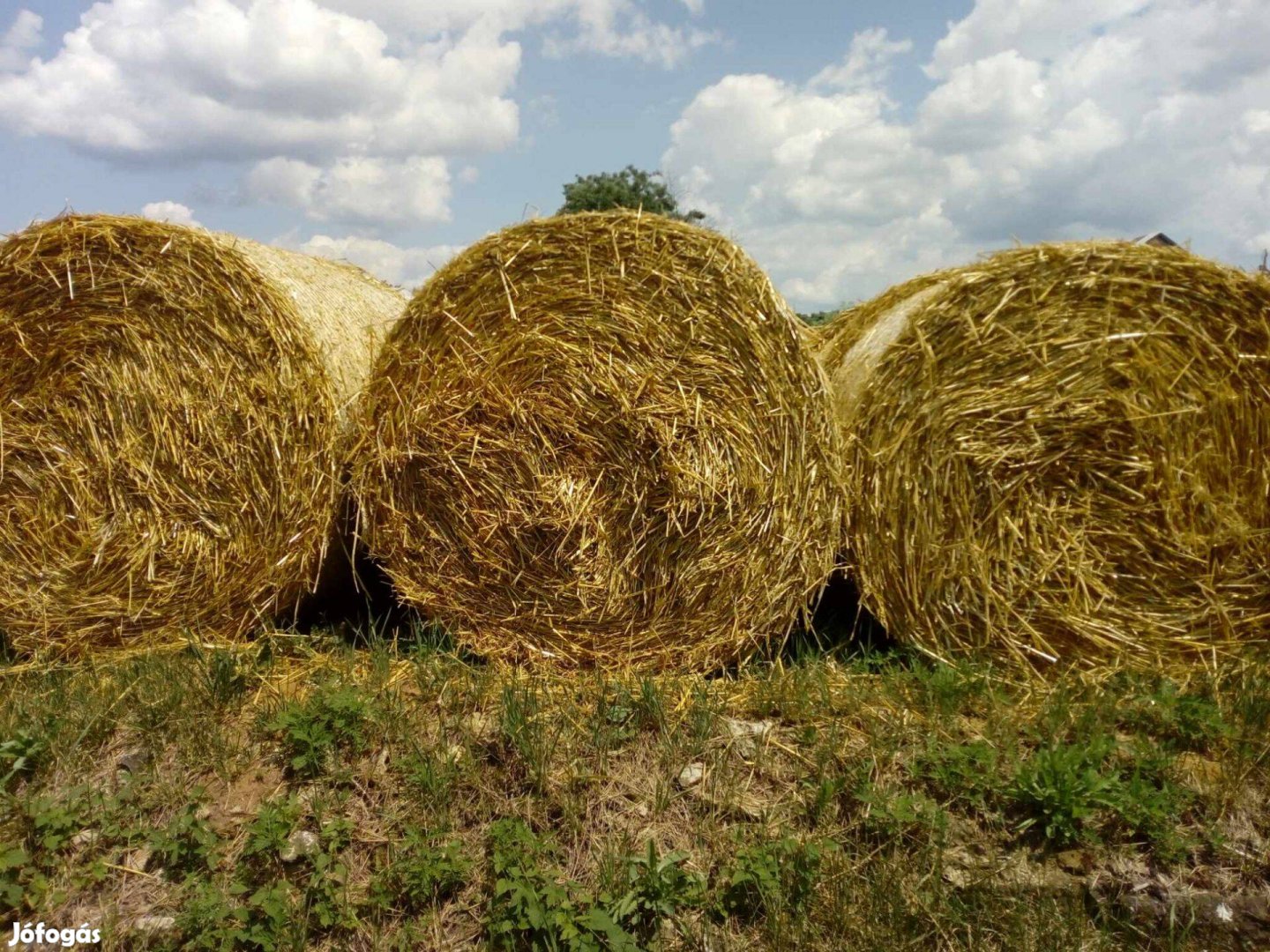 Körbálás szalma eladó!