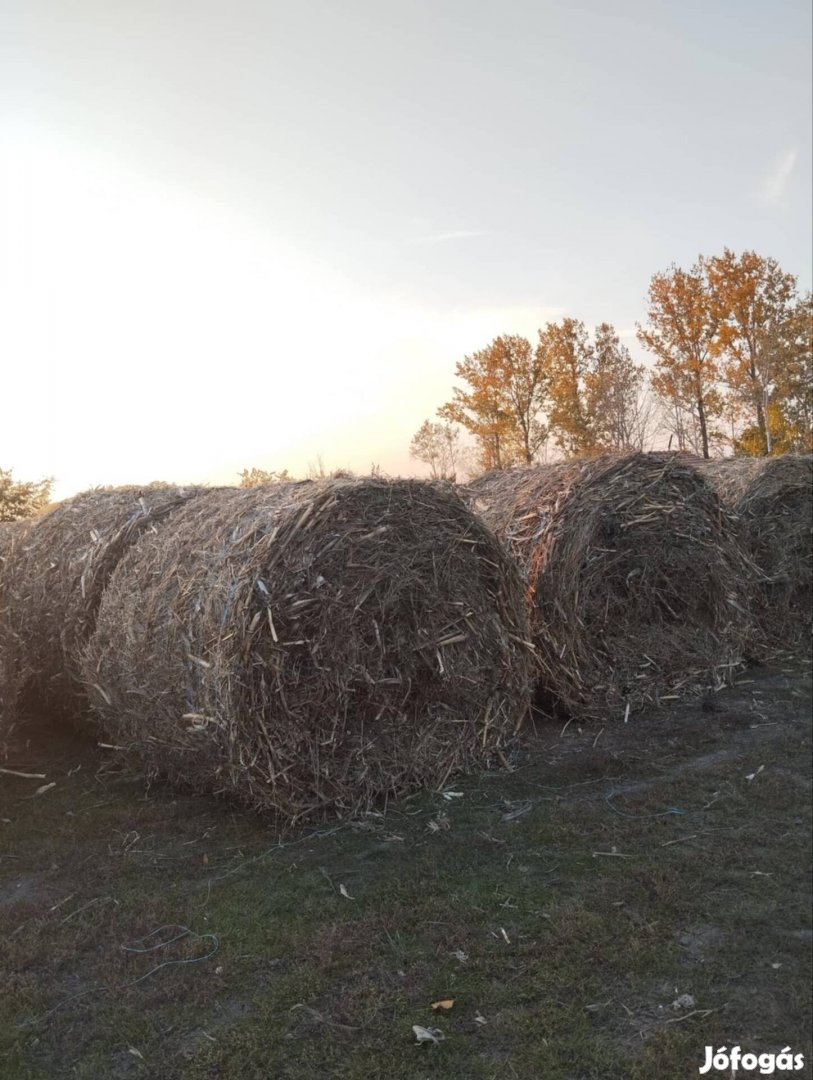 Körbalas,szénas csutka eladó