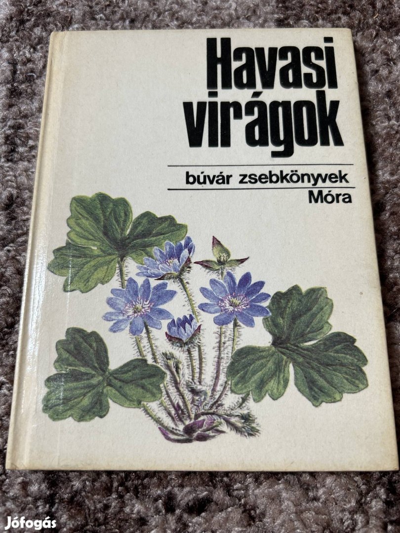 Kósa Géza: Havasi virágok