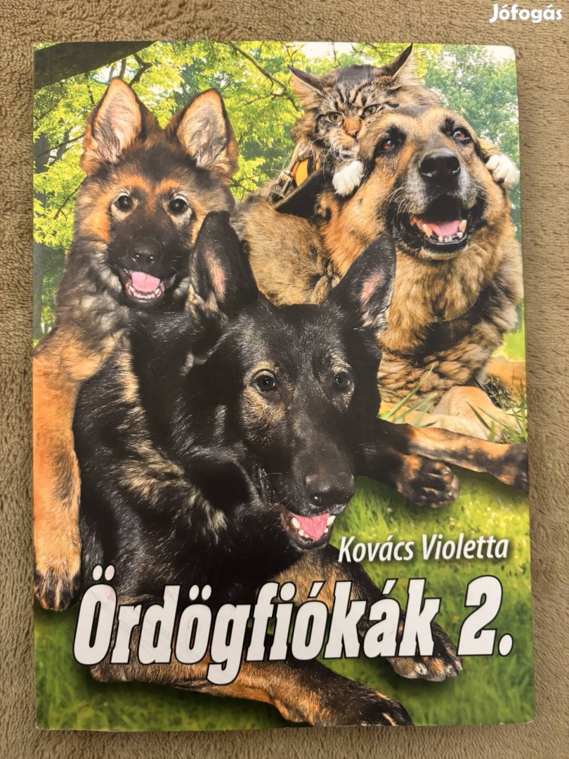 Előnézeti kép