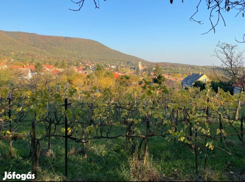 Kővágószőlősön panorámás telek eladó!