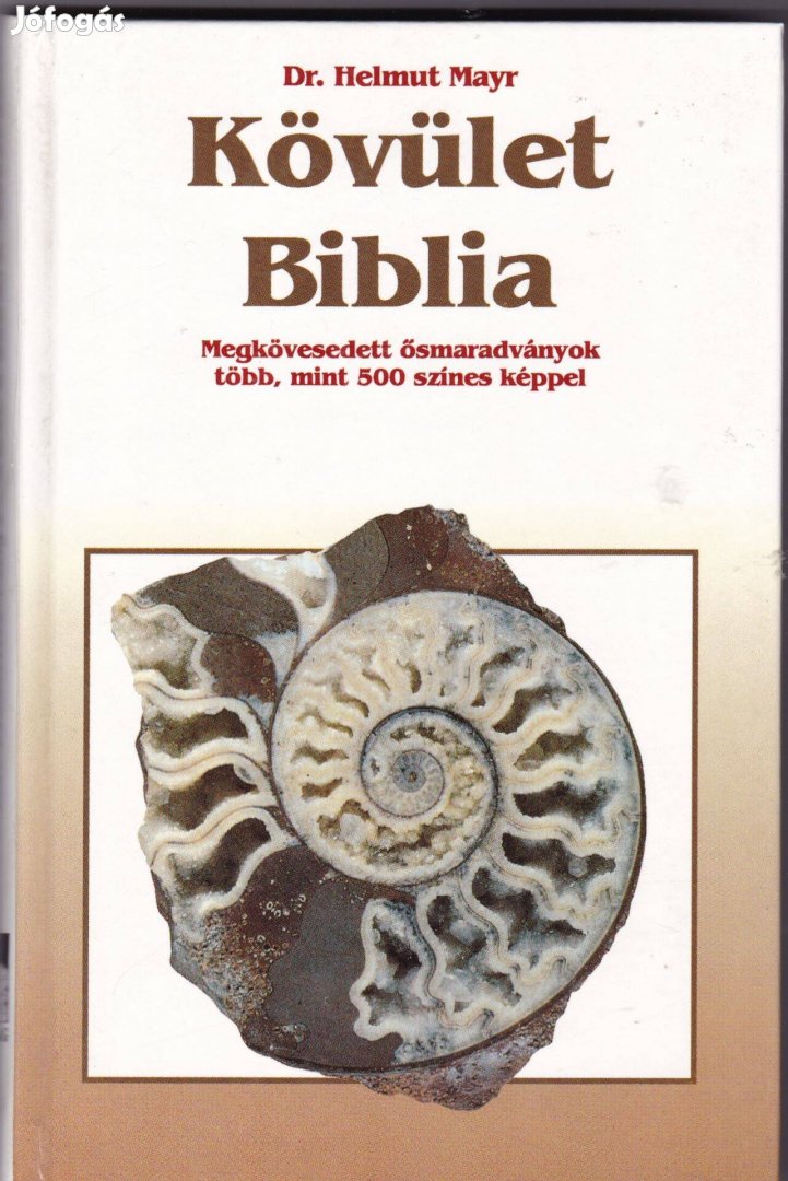 Kövület biblia ősmaradványok