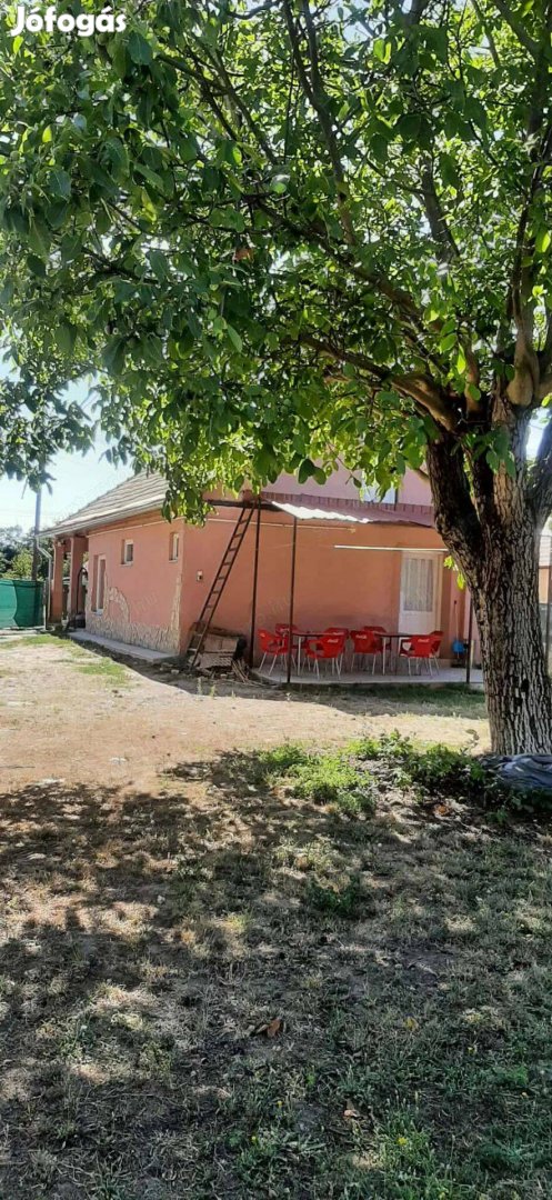 Központban ház zsiráffal,tigrissel,sárkánnyl és anyóssal is