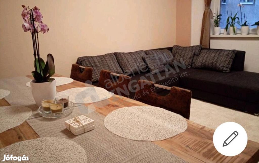 Közraktár utcában FELÚJÍTOTT, VILÁGOS, KLÍMÁS 2 szobás lakás kiadó!