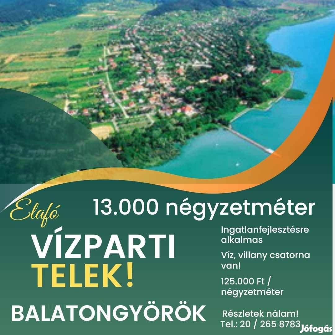 Közvetlen partmenti hatalmas telek Beruházási célra Balatongyörökön!