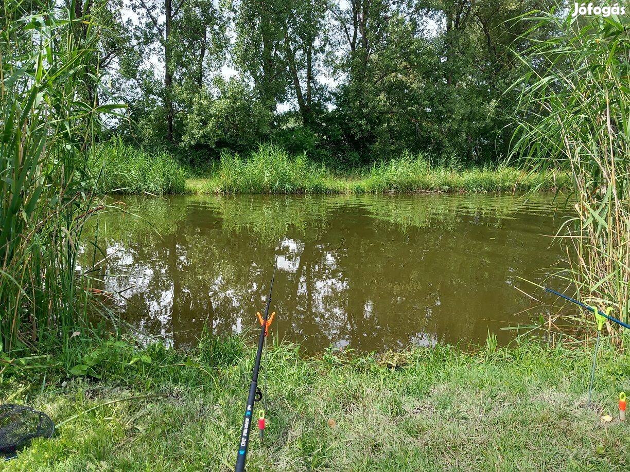 Közvetlen vízparti nyaraló eladó Dömsödön!