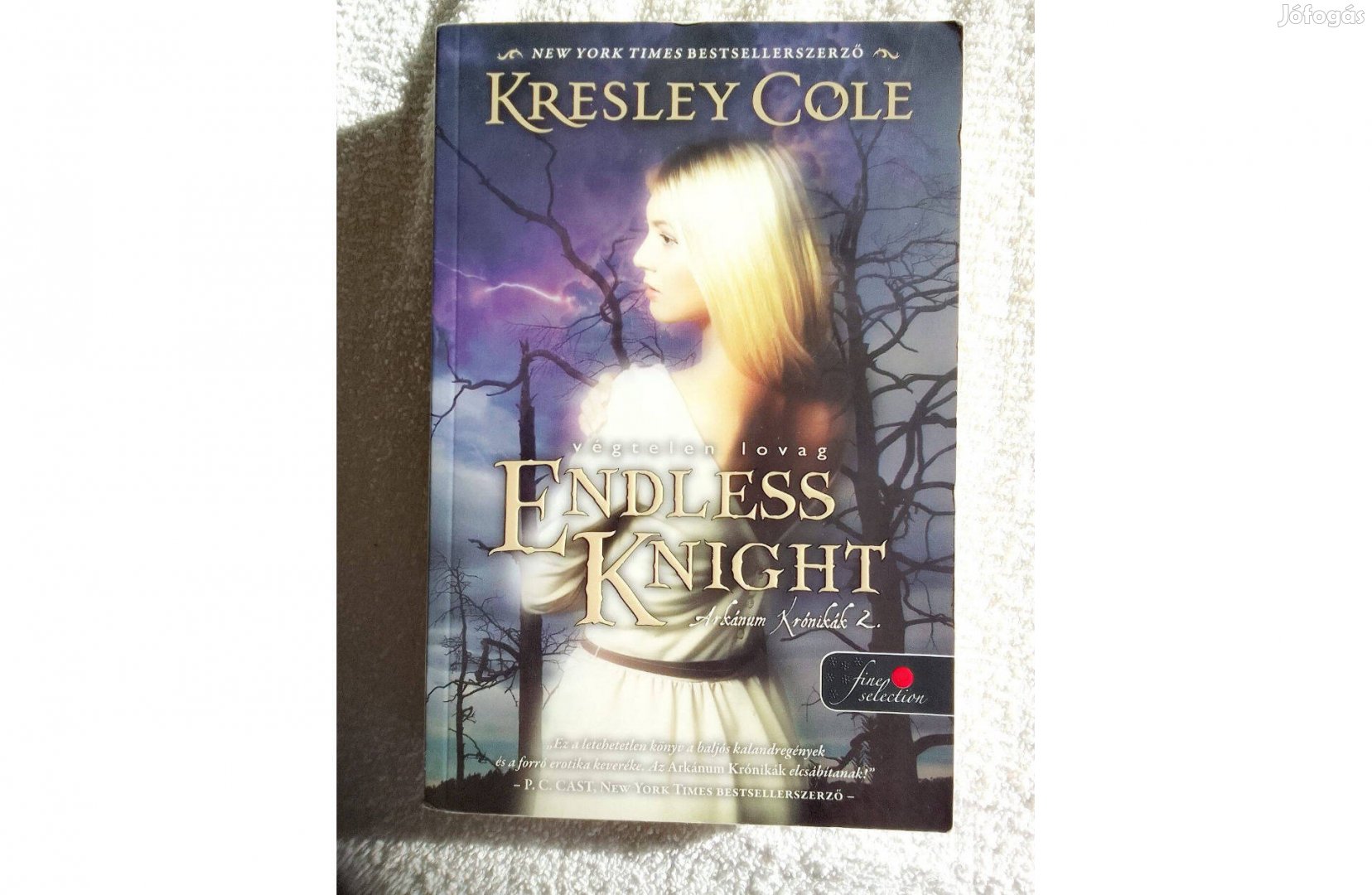Kresley Cole: Endless knight