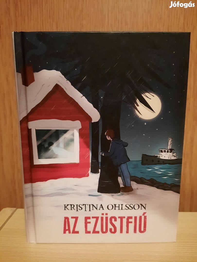 Kristina Ohlsson: Az Ezüstfiú