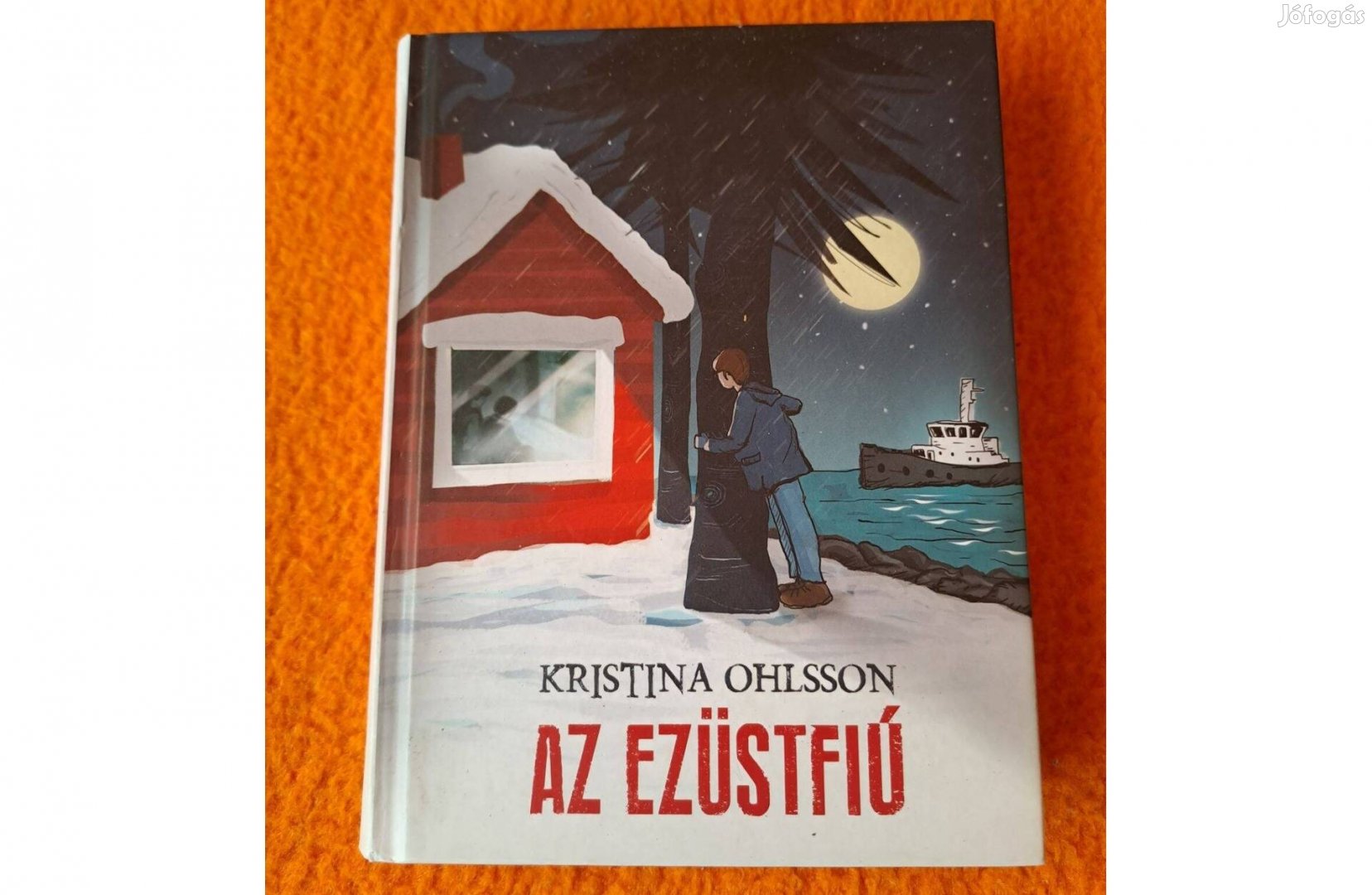 Kristina Ohlsson: Az ezüstfiú - Silverpojken