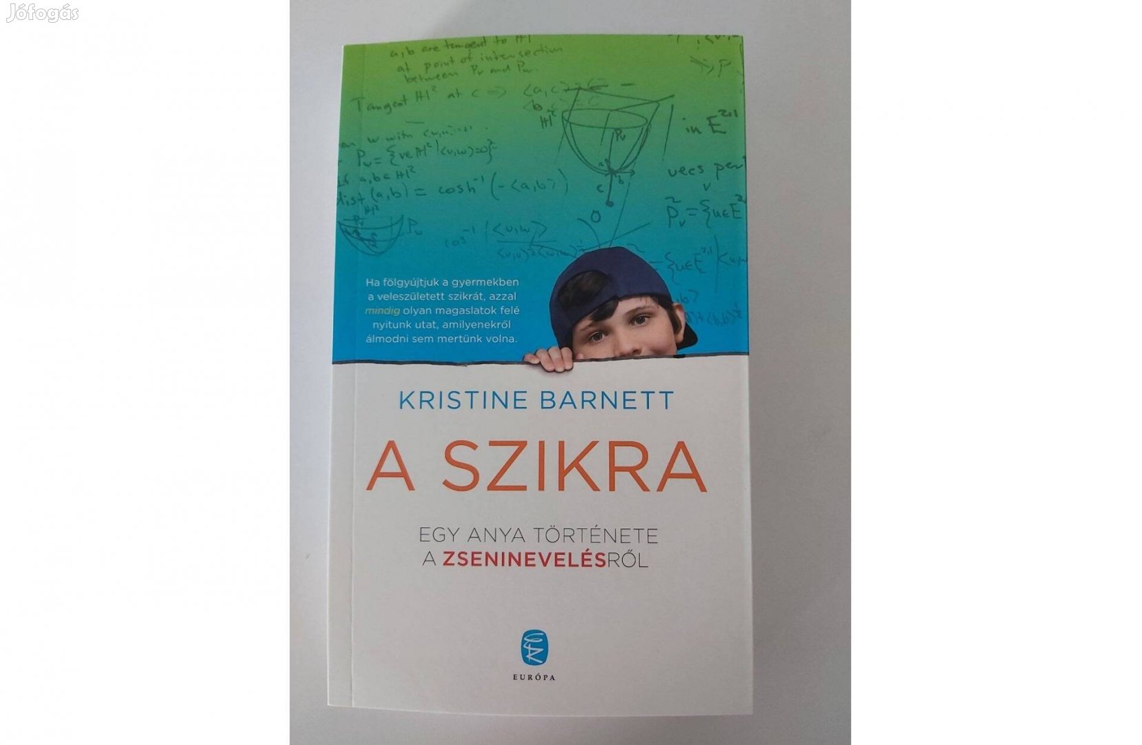 Kristine Barnett: A szikra