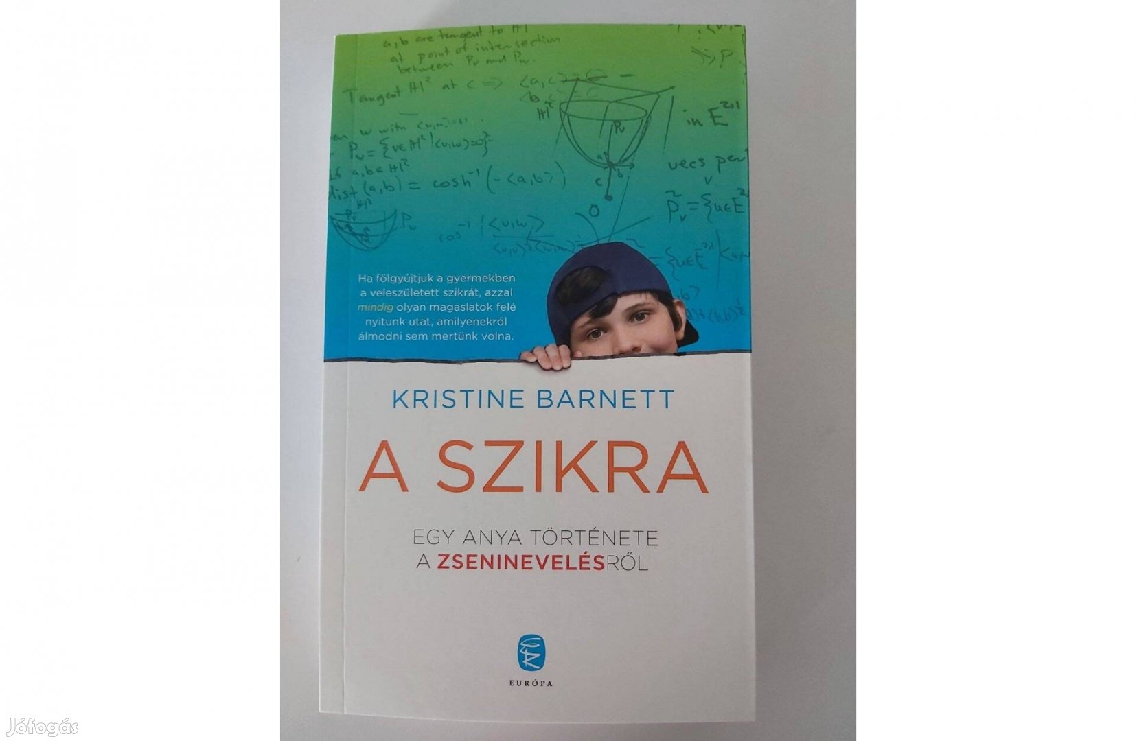 Kristine Barnett: A szikra