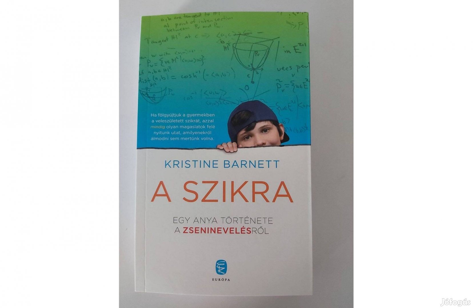 Kristine Barnett: A szikra (Egy anya története a zseninevelésről)