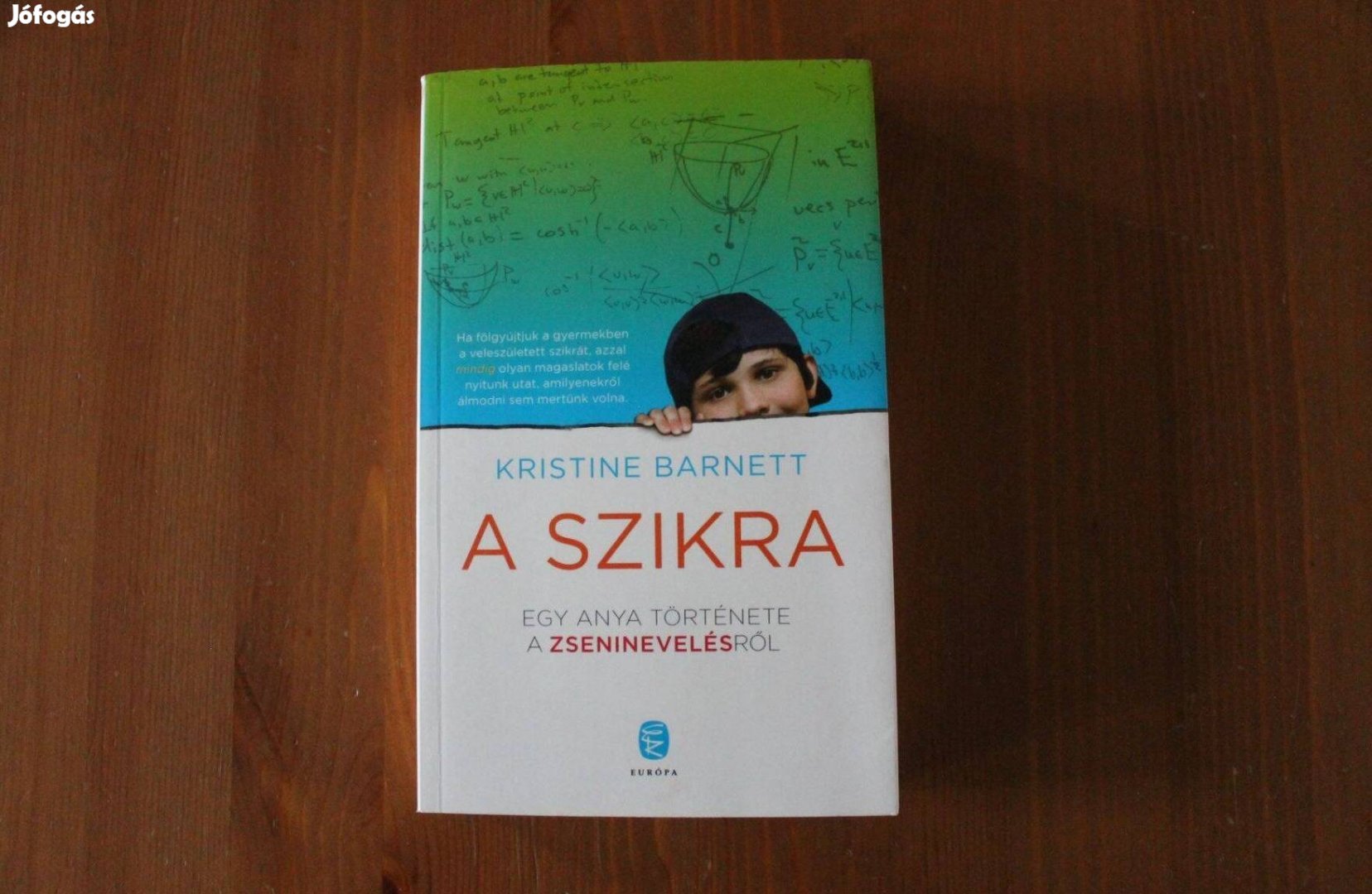 Kristine Barnett - A szikra Egy anya története a zseninevelé