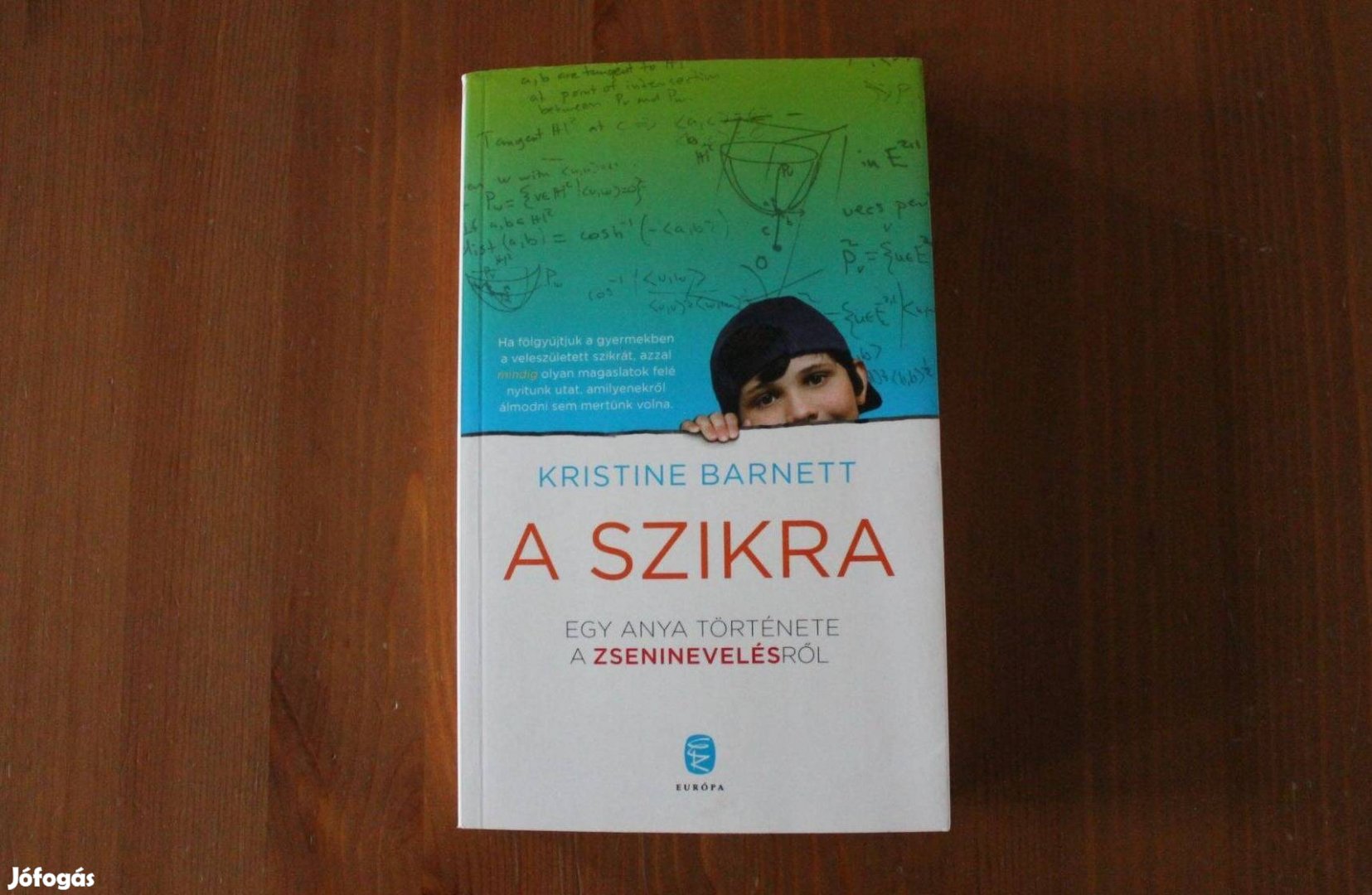 Kristine Barnett - A szikra ( Egy anya története a zseninevelésről )