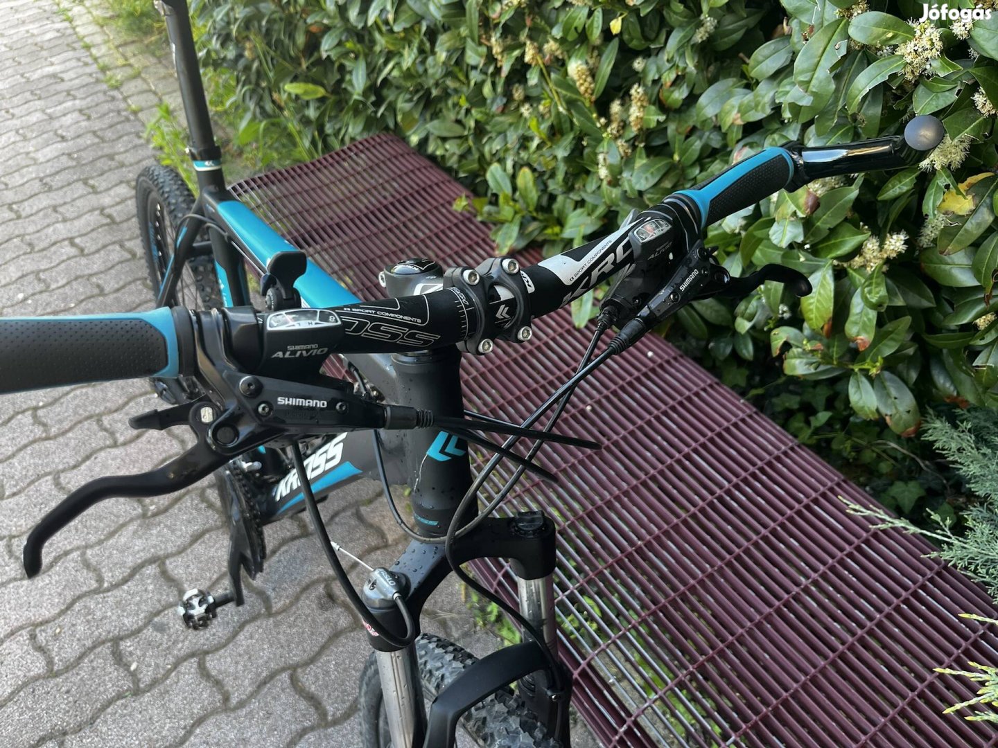 Kross Level A3
