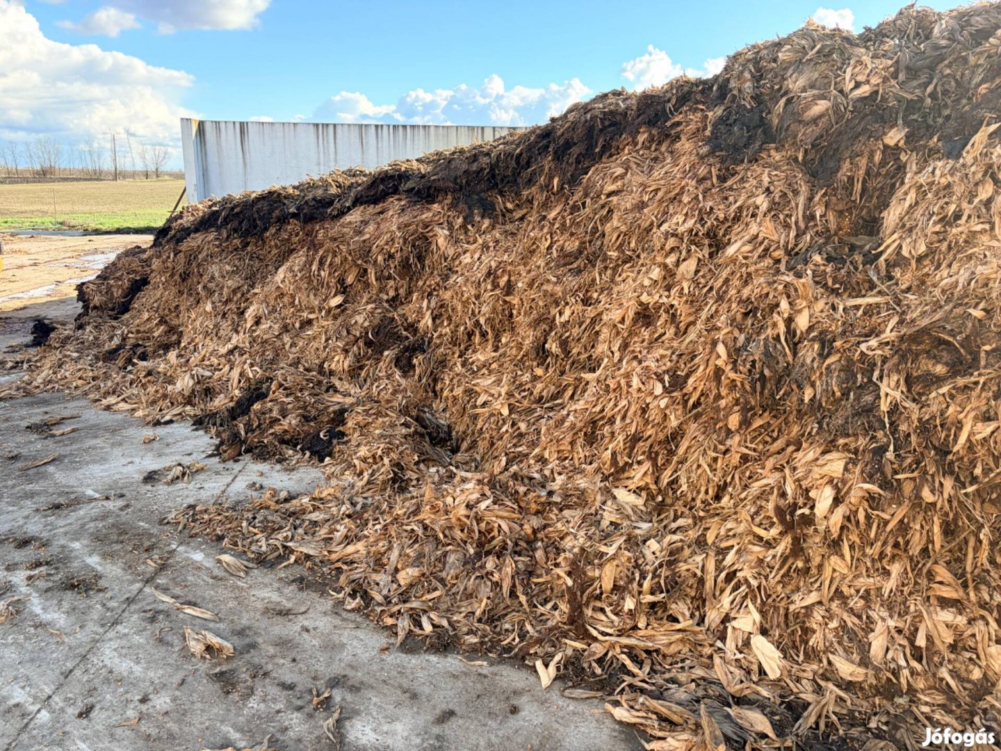 Kukorica csuhé eladó