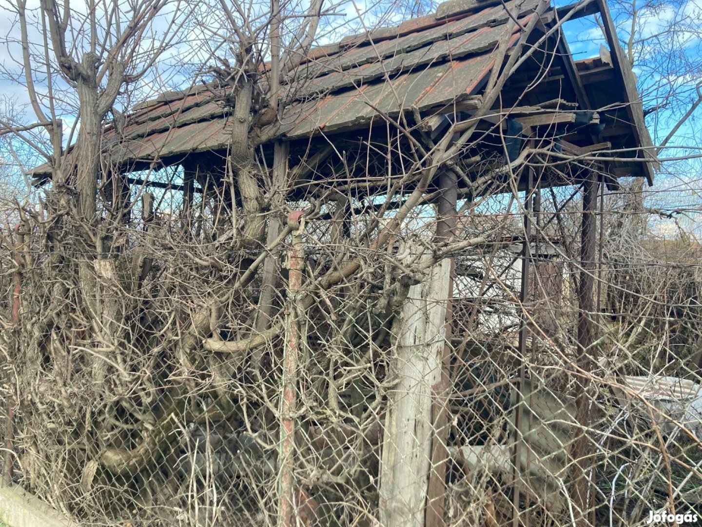 Kukorica góré tároló eladó