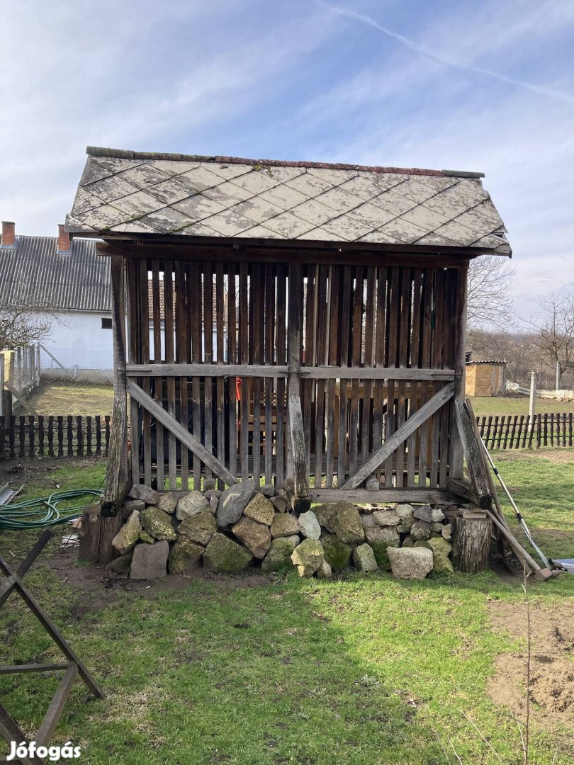 Kukorica tárológórékas