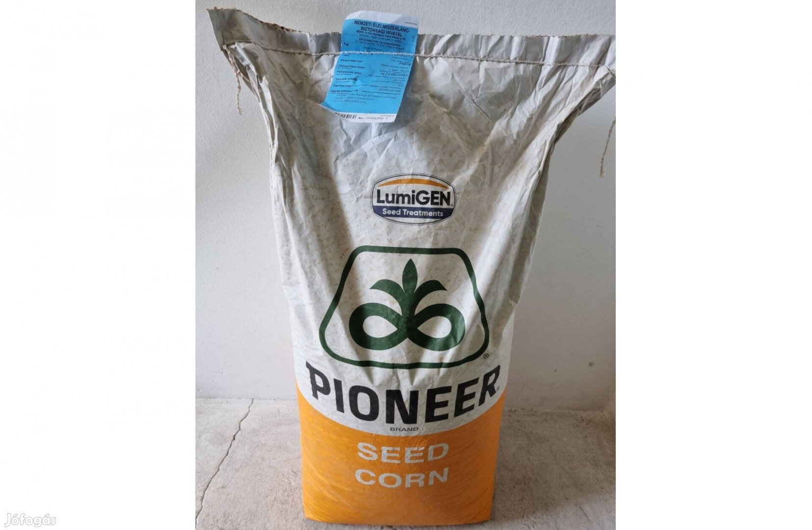 Kukorica vetőmag Pioneer P9074 eladó