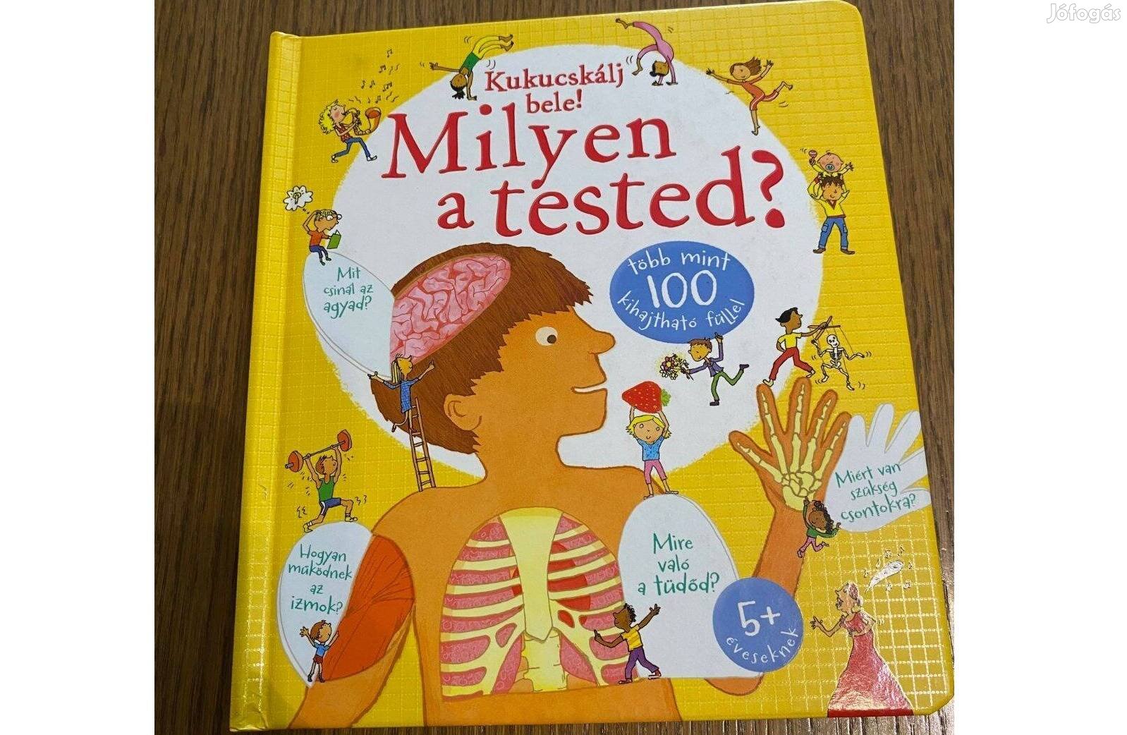 Kukucskálj bele! - Milyen a tested?