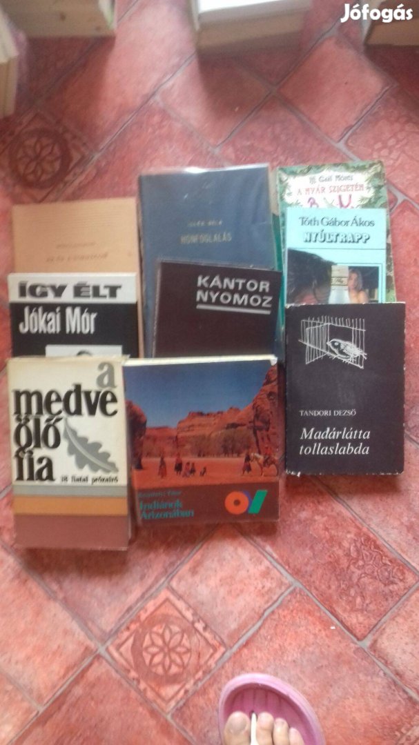 Különböző Magyar írók regényei