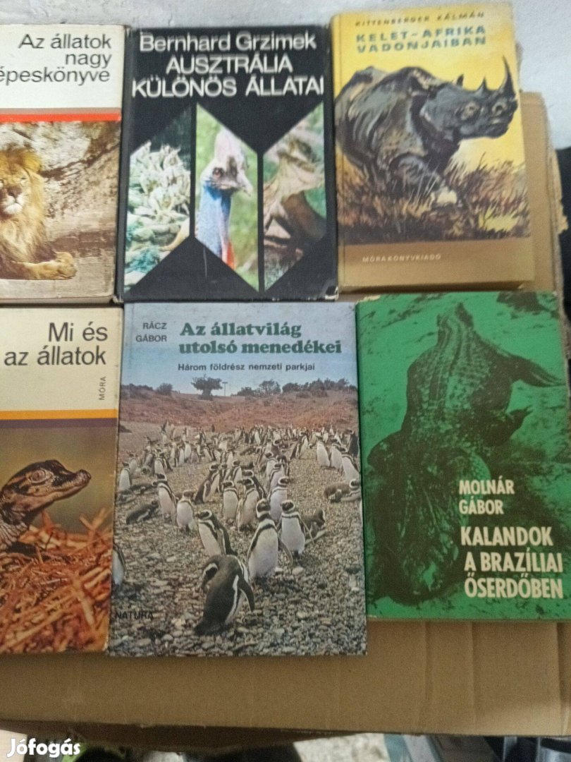 Különböző állatos könyvek