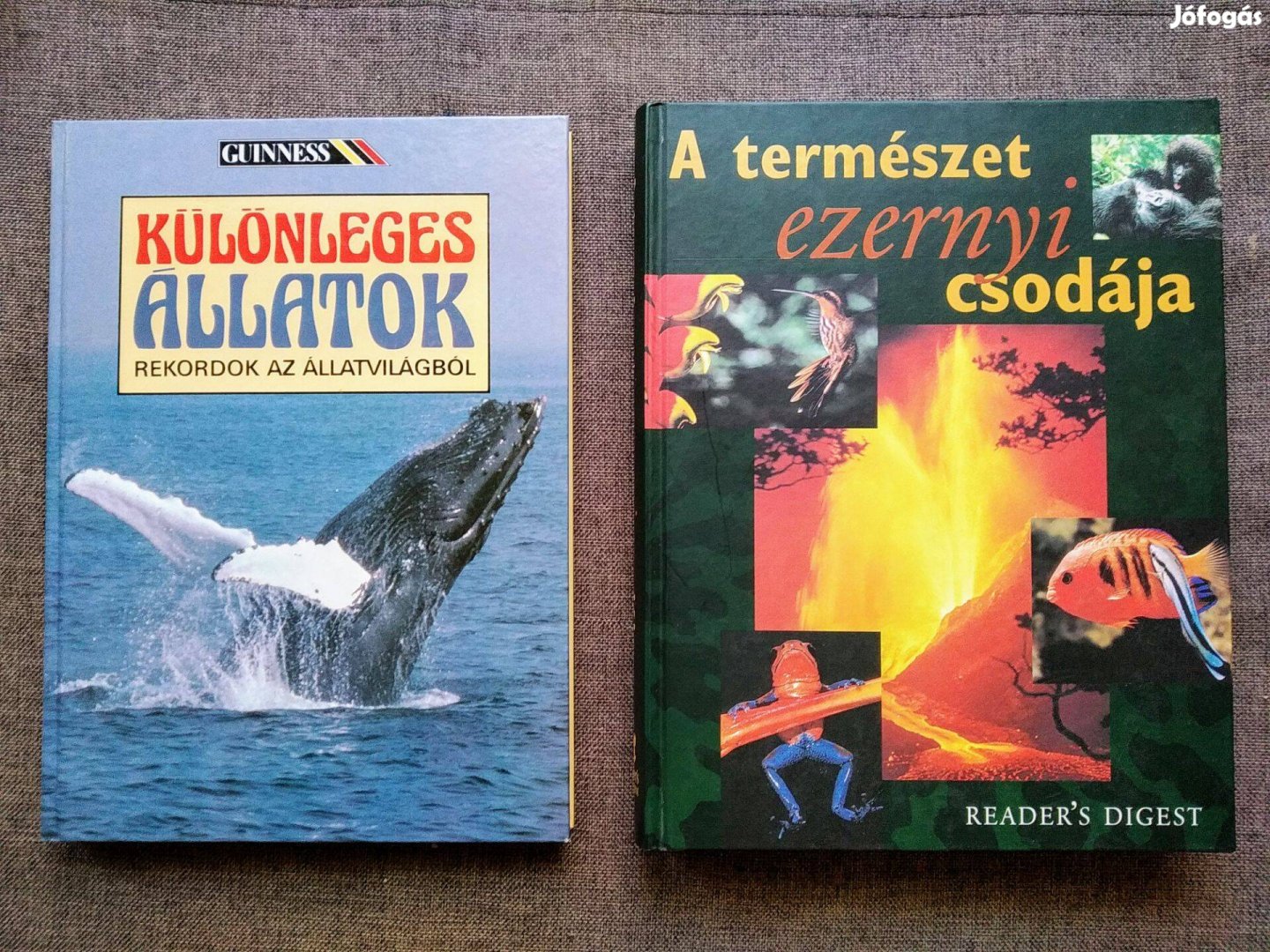 Különleges állatok A természet ezernyi csodája Újszerű