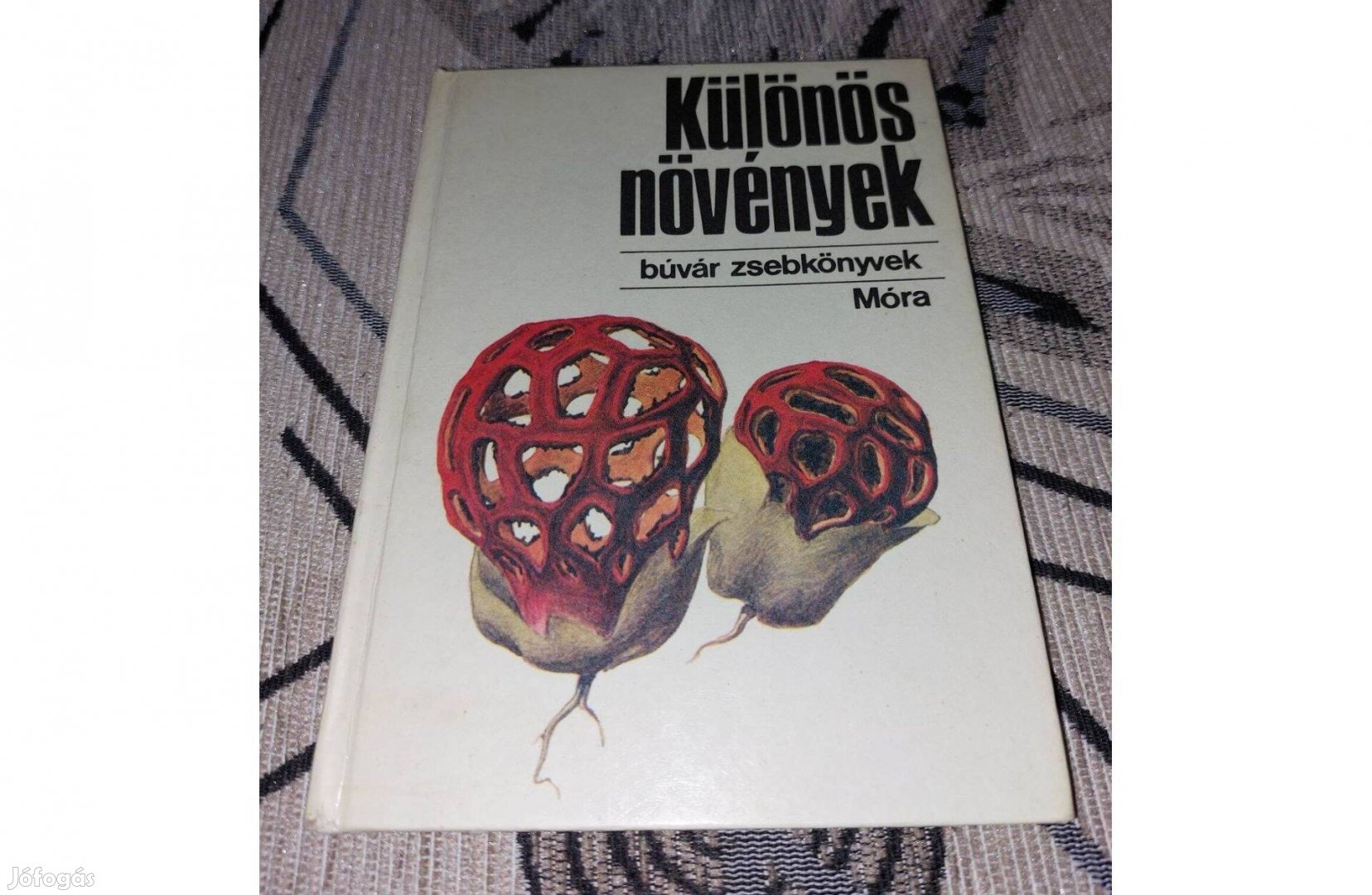 Különös növények - Búvár zsebkönyvek